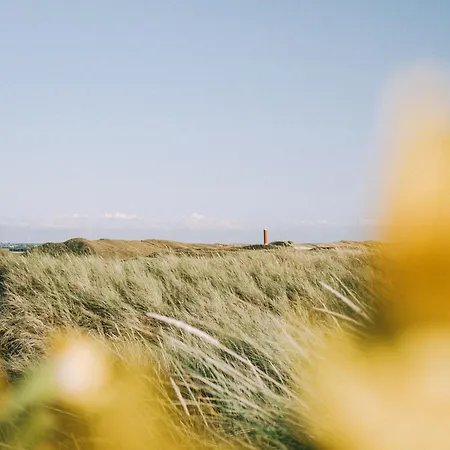 Yuki - Aan Zee * Callantsoog