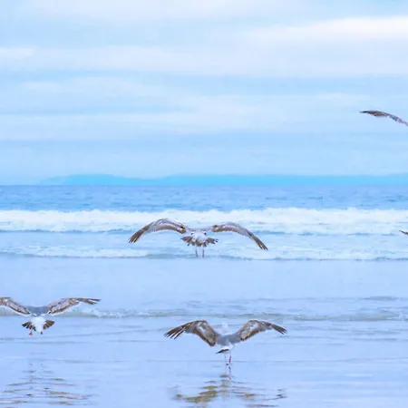度假居 Yuki - Aan Zee 卡兰茨奥赫