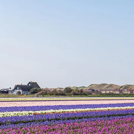 Yuki - Aan Zee *