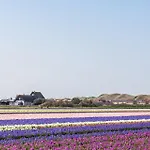 Yuki - Aan Zee *